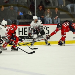 Photo: 251115-HMLN-SMMN-M-3636