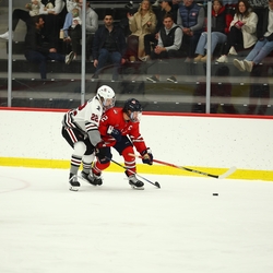 Photo: 251115-HMLN-SMMN-M-5375