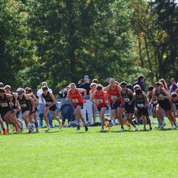 Photo: 261003-RunningoftheCows-NationalsPreMeet-34780-RJC