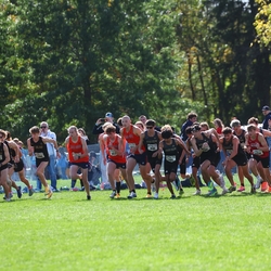 Photo: 261003-RunningoftheCows-NationalsPreMeet-34786-RJC