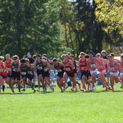 Photo: 261003-RunningoftheCows-NationalsPreMeet-34798-RJC