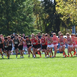 Photo: 261003-RunningoftheCows-NationalsPreMeet-34802-RJC