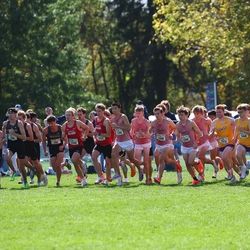 Photo: 261003-RunningoftheCows-NationalsPreMeet-34805-RJC