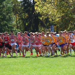 Photo: 261003-RunningoftheCows-NationalsPreMeet-34809-RJC