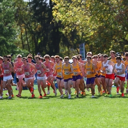 Photo: 261003-RunningoftheCows-NationalsPreMeet-34813-RJC