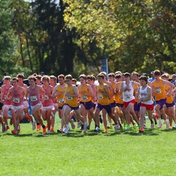 Photo: 261003-RunningoftheCows-NationalsPreMeet-34817-RJC