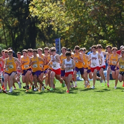 Photo: 261003-RunningoftheCows-NationalsPreMeet-34820-RJC