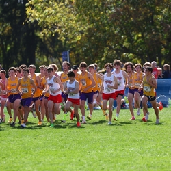 Photo: 261003-RunningoftheCows-NationalsPreMeet-34823-RJC