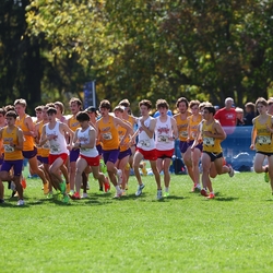 Photo: 261003-RunningoftheCows-NationalsPreMeet-34827-RJC