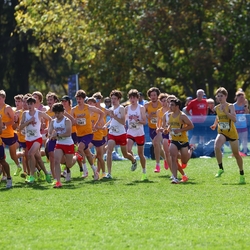 Photo: 261003-RunningoftheCows-NationalsPreMeet-34829-RJC