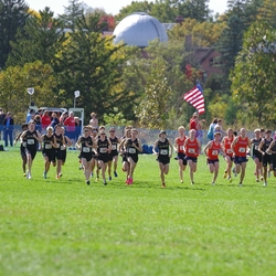 Photo: 261003-RunningoftheCows-NationalsPreMeet-34832-TLB