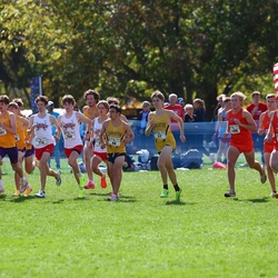Photo: 261003-RunningoftheCows-NationalsPreMeet-34834-RJC