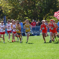 Photo: 261003-RunningoftheCows-NationalsPreMeet-34838-RJC