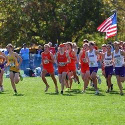 Photo: 261003-RunningoftheCows-NationalsPreMeet-34843-RJC