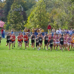 Photo: 261003-RunningoftheCows-NationalsPreMeet-34858-TLB