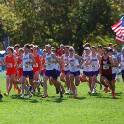 Photo: 261003-RunningoftheCows-NationalsPreMeet-34866-RJC