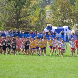 Photo: 261003-RunningoftheCows-NationalsPreMeet-34886-TLB