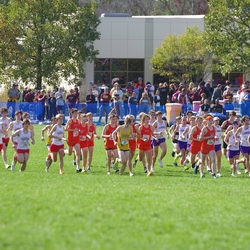 Photo: 261003-RunningoftheCows-NationalsPreMeet-34901-TLB