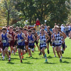 Photo: 261003-RunningoftheCows-NationalsPreMeet-34934-RJC