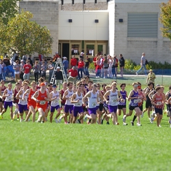 Photo: 261003-RunningoftheCows-NationalsPreMeet-34937-TLB