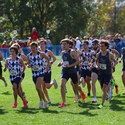 Photo: 261003-RunningoftheCows-NationalsPreMeet-34956-RJC