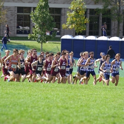 Photo: 261003-RunningoftheCows-NationalsPreMeet-34992-TLB