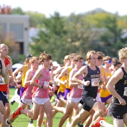Photo: 261003-RunningoftheCows-NationalsPreMeet-35034-TLB