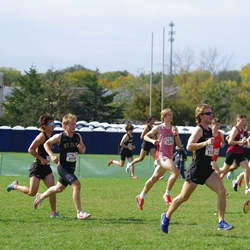 Photo: 261003-RunningoftheCows-NationalsPreMeet-35061-TLB