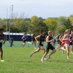 Photo: 261003-RunningoftheCows-NationalsPreMeet-35063-TLB