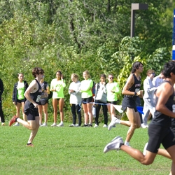 Photo: 261003-RunningoftheCows-NationalsPreMeet-35068-TLB