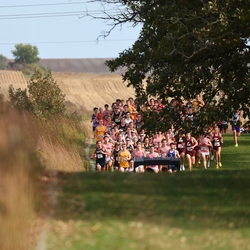 Photo: 261003-RunningoftheCows-NationalsPreMeet-35075-RJC