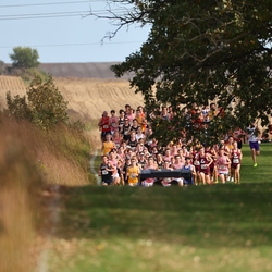 Photo: 261003-RunningoftheCows-NationalsPreMeet-35092-RJC