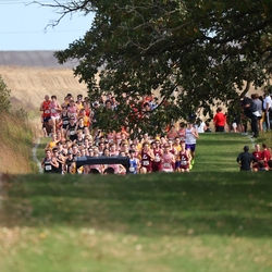Photo: 261003-RunningoftheCows-NationalsPreMeet-35106-RJC