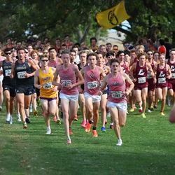 Photo: 261003-RunningoftheCows-NationalsPreMeet-35254-RJC
