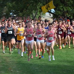 Photo: 261003-RunningoftheCows-NationalsPreMeet-35256-RJC
