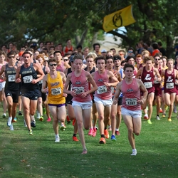 Photo: 261003-RunningoftheCows-NationalsPreMeet-35272-RJC