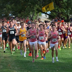 Photo: 261003-RunningoftheCows-NationalsPreMeet-35276-RJC