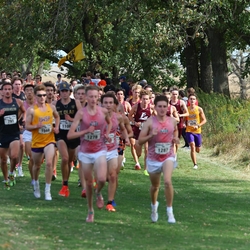 Photo: 261003-RunningoftheCows-NationalsPreMeet-35334-RJC