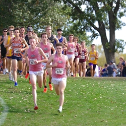 Photo: 261003-RunningoftheCows-NationalsPreMeet-35598-TLB