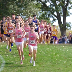 Photo: 261003-RunningoftheCows-NationalsPreMeet-35604-TLB