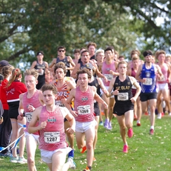 Photo: 261003-RunningoftheCows-NationalsPreMeet-35634-TLB
