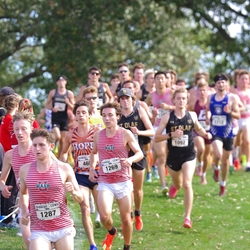 Photo: 261003-RunningoftheCows-NationalsPreMeet-35639-TLB