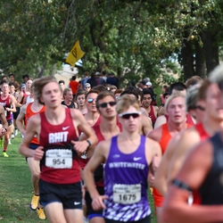 Photo: 261003-RunningoftheCows-NationalsPreMeet-35651-RJC