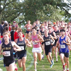 Photo: 261003-RunningoftheCows-NationalsPreMeet-35700-TLB