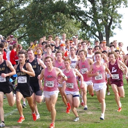 Photo: 261003-RunningoftheCows-NationalsPreMeet-35748-TLB
