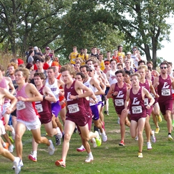 Photo: 261003-RunningoftheCows-NationalsPreMeet-35770-TLB