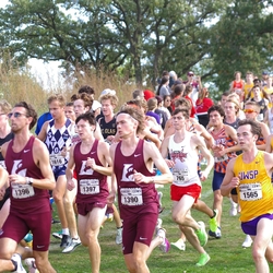 Photo: 261003-RunningoftheCows-NationalsPreMeet-35816-TLB
