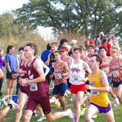 Photo: 261003-RunningoftheCows-NationalsPreMeet-35824-TLB