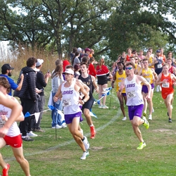Photo: 261003-RunningoftheCows-NationalsPreMeet-35862-TLB