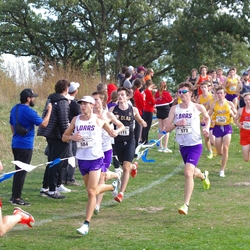 Photo: 261003-RunningoftheCows-NationalsPreMeet-35868-TLB